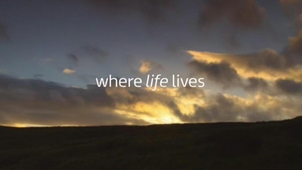 image from: ITV Where Life Lives