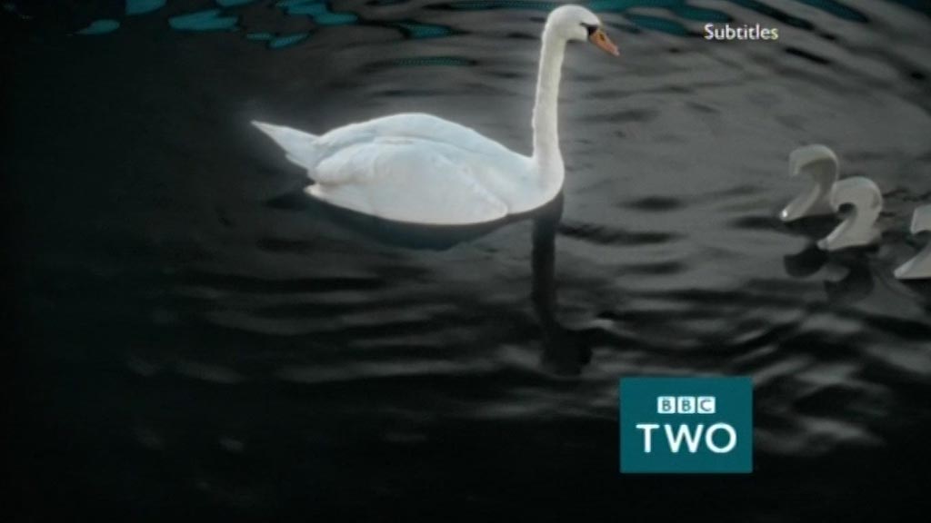 image from: BBC Two Swan Ident