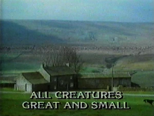 image from: All Creatures Great and Small promo