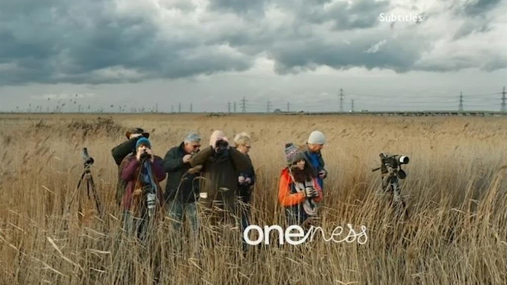 image from: BBC One Ident - Birdwatchers #1