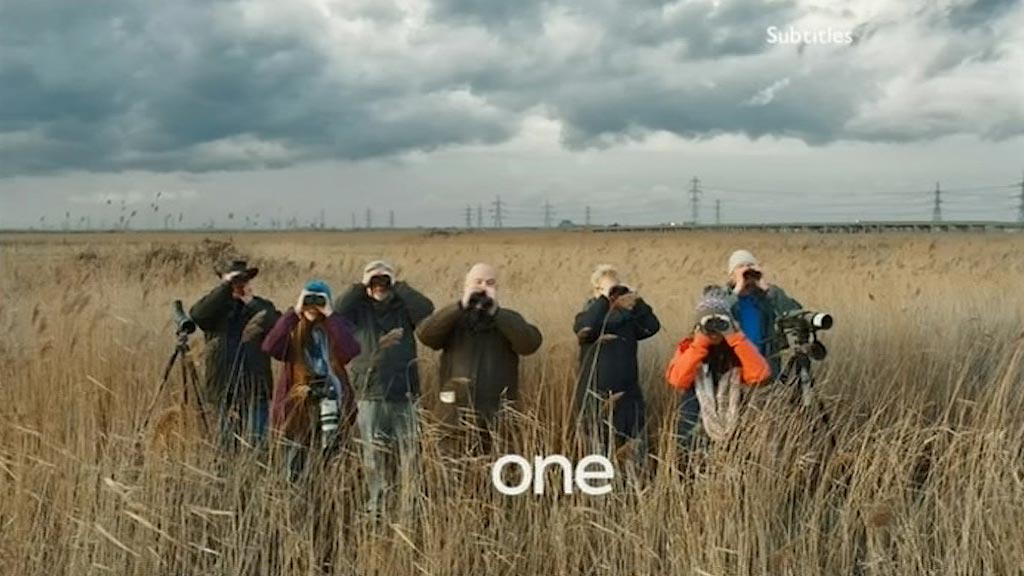 image from: BBC One Ident - Birdwatchers #1