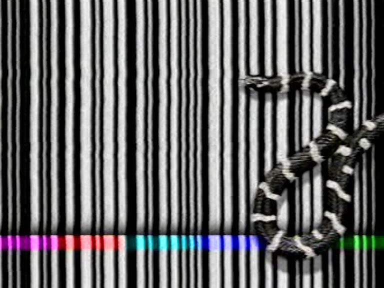 image from: BBC2 DEF II Ident - Snake