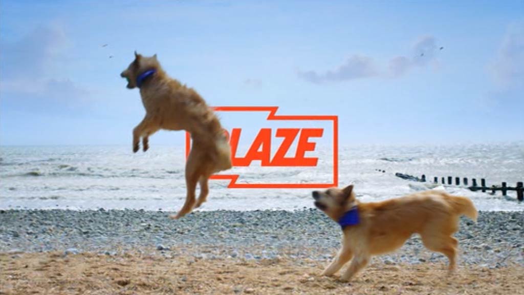 image from: Blaze Ident - Dogs