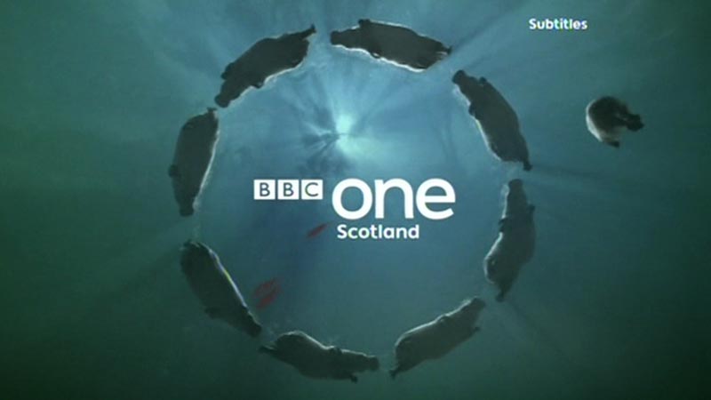 BBC One Scotland Hippos Ident | TVARK