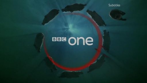 Bbc One – Hippos Ident 