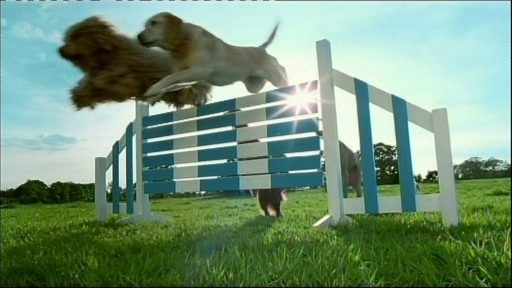 BBC One Ident – Dog Display | TVARK