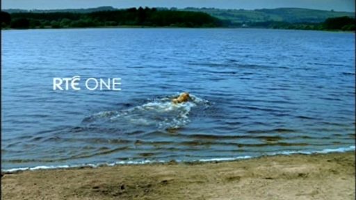 RTE One Ident | TVARK