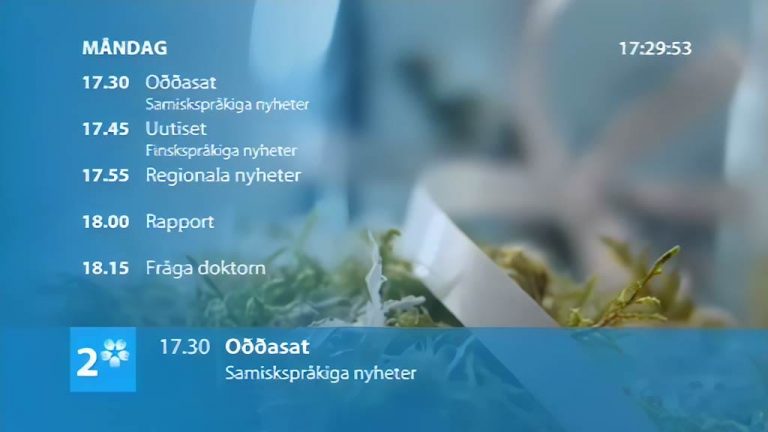 SVT2 Christmas Ident | TVARK